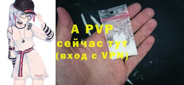 ПСИЛОЦИБИНОВЫЕ ГРИБЫ Лихославль