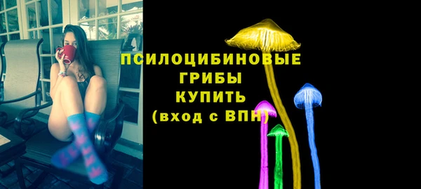 ПСИЛОЦИБИНОВЫЕ ГРИБЫ Лихославль